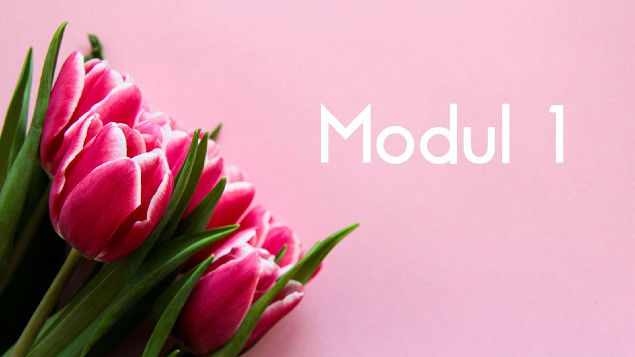 MODUL 01